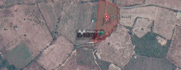 Giá cạnh tranh từ 2.3 tỷ bán đất diện tích 12000m2 vị trí hấp dẫn ngay tại Hàm Thuận Bắc, Bình Thuận-02