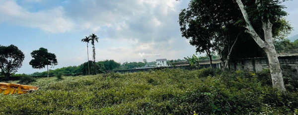 Bán 576m2 đất thổ cư nhà vườn, mặt đường bê tông to tại Cư Yên, Lương Sơn, giá rẻ. LH 0988 168 *** liên hệ chính chủ-02