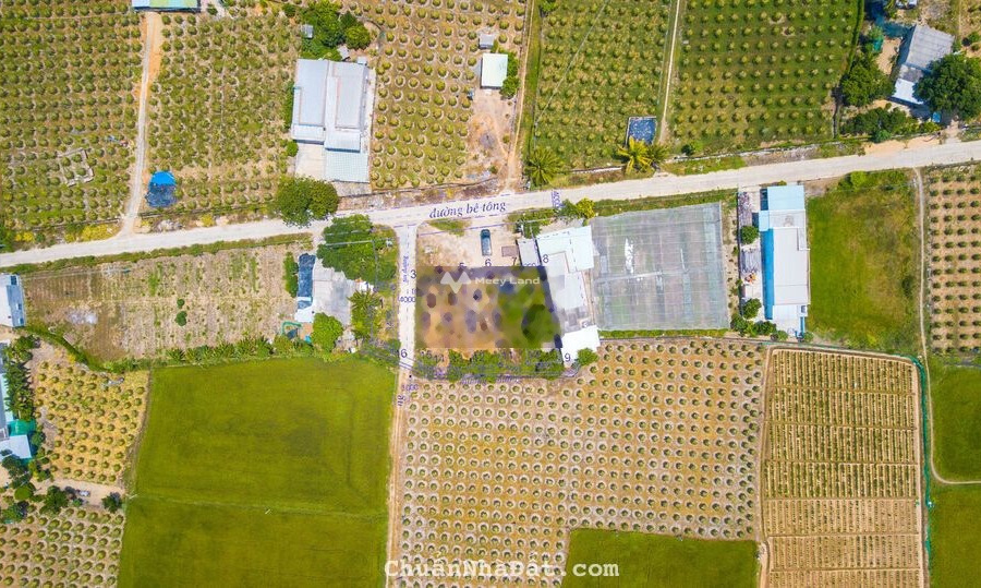 Mặt tiền nằm ngay Tuy Phong, Bình Thuận bán đất, giá bán mua ngay 820 triệu Diện tích nền 119m2-01