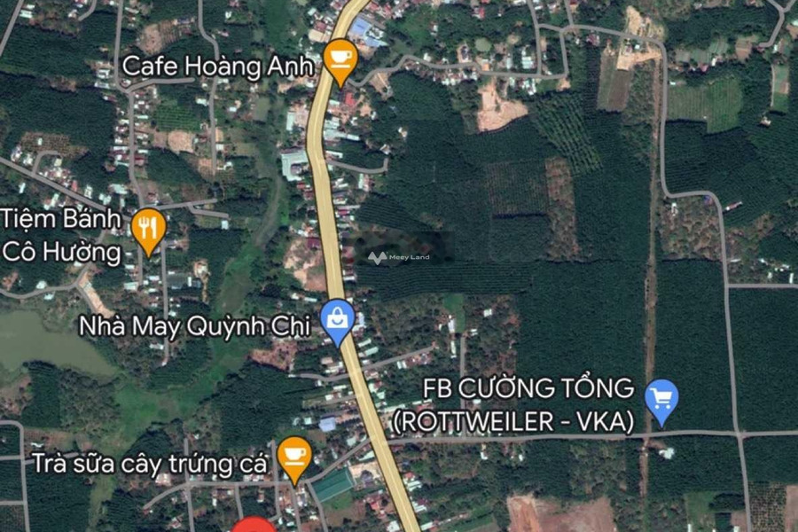 Gia đình khó khăn bán mảnh đất, 160m2 giá cực mềm từ 480 triệu vị trí cực kì thuận lợi ngay tại Thuận Lợi, Đồng Phú, hướng Đông - Nam vị trí đắc địa-01