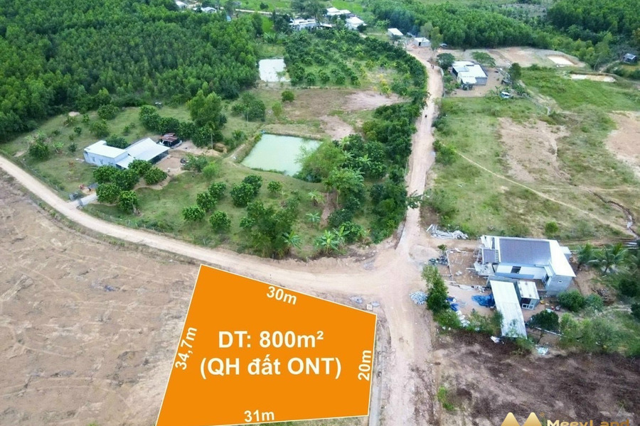 Bán vườn bưởi 500m2 quy hoạch ONT ngay ngã 3 Nước Nhỉ, Khánh Phú, Khánh Vĩnh-01