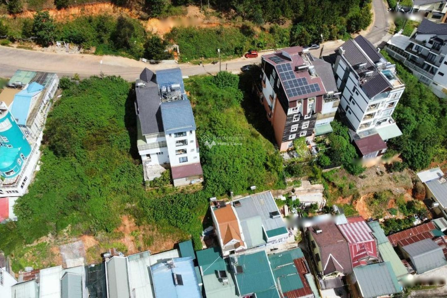 Nằm tại Ngô Quyền, Lâm Đồng bán đất 11.8 tỷ có diện tích khoảng 228m2-01