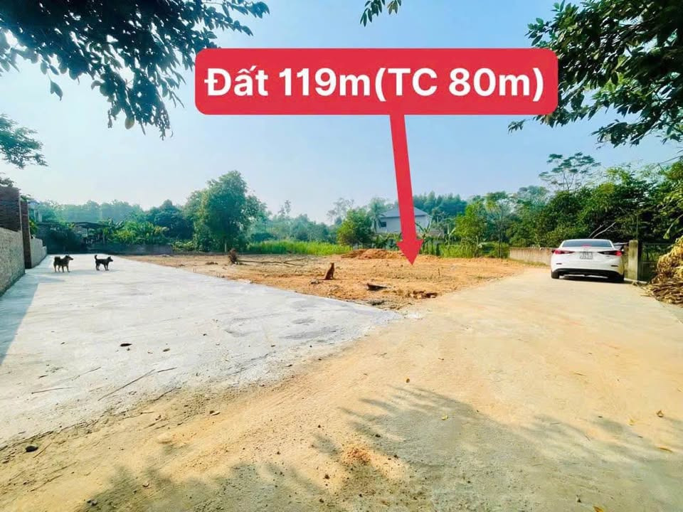 Bán đất huyện Tam Dương tỉnh Vĩnh Phúc giá 300.0 triệu-0