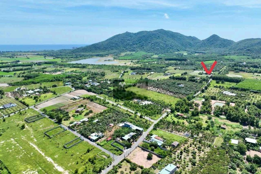 400m2-100tc dg nhựa Long Mỹ. Cách Lan Rừng Resort 3km -01