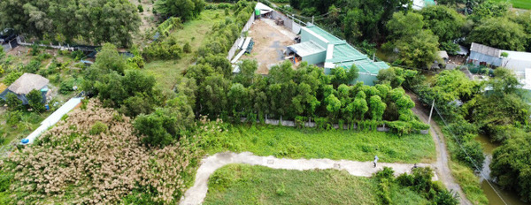 Bán lô đất vườn 350 m2, Mỹ Lộc, Long An, giá 1,26 tỷ-03