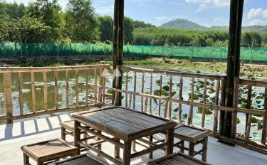 Trang Trại Vườn Ao Chuồng kết hợp Picnic quy mô tại Diên Khánh, cách biển chỉ 25km thích hợp kinh doanh-02