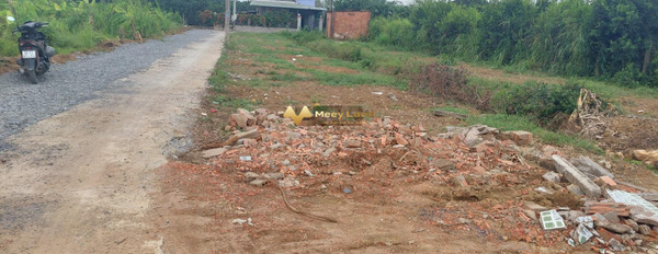 Bán đất diện tích 97m2, giá 1,27 tỷ tại Vĩnh Cửu, Đồng Nai-03