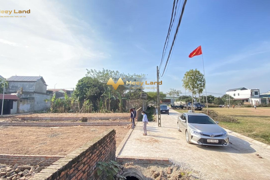 Đường Đại Lộ Thăng Long, Xã Vân Côn bán đất giá bán thực tế từ 1 tỷ, hướng Đông Nam dt chung 40m2-01