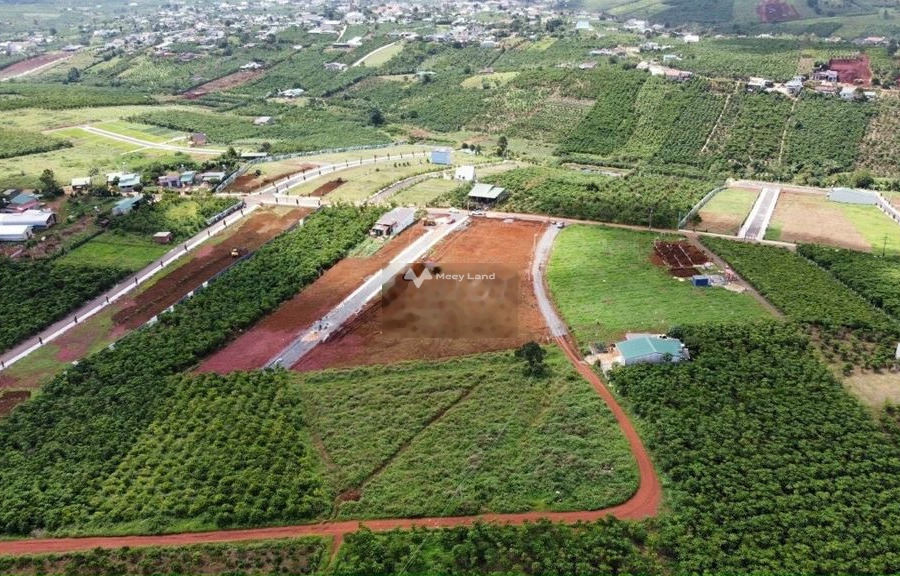 Bán đất diện tích rộng lớn 152m2 vị trí trung tâm Lý Thường Kiệt, Lộc Phát, hướng Đông Nam-01