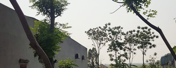 Bán đất mặt đường 4A Quảng Lưu, 192m2, giá 2,5 tỷ-02