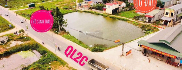 Cần bán đất vị trí thuận lợi tọa lạc trên Thanh Vân, Tam Dương. Diện tích 92,5m2-03