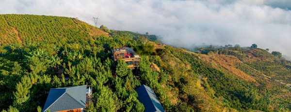 Cần bán 1.3 ha cạnh Hill top valley có cà phê, tiêu, hồ tưới, đường xe hơi vào được giá 500tr/ sào -03