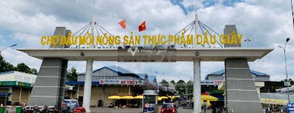 Bán đất Quang Trung, Đồng Nai diện tích 100m2-03