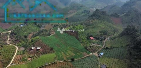 Cần xoay sở tiền bán mảnh đất, 50000m2 giá cơ bản chỉ 17.55 tỷ vị trí ở Phiêng Luông, Sơn La giao thông thuận lợi-03