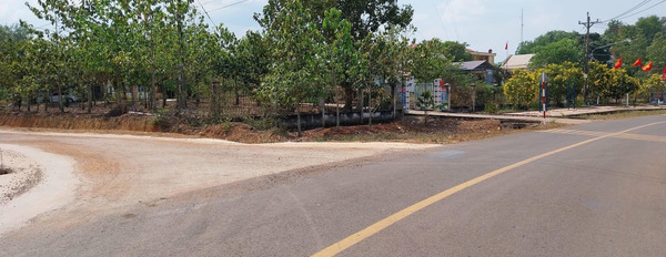 Giá bán lỗ lô đất ngay Trung tâm khu công nghiệp Đồng Phú-02