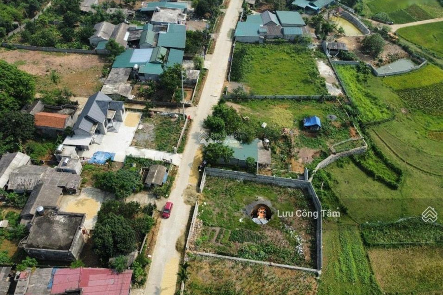 Bán đất vị trí mặt tiền tọa lạc ở Lương Sơn, Hòa Bình. Diện tích 736m2-01