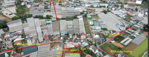 Giá khoảng 25 tỷ bán đất có diện tích sàn 524m2 vị trí thuận lợi tọa lạc ngay ở Đà Lạt, Lâm Đồng-03