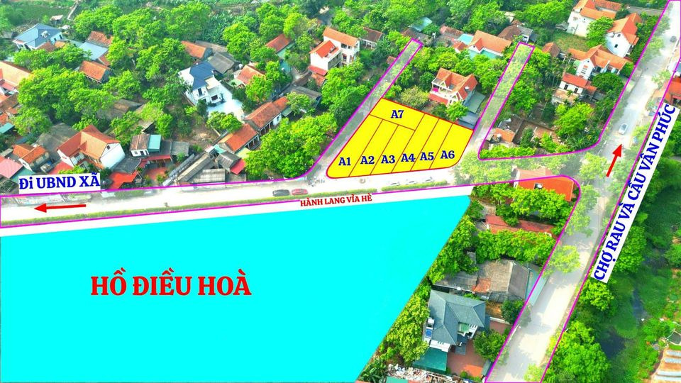 Mua bán đất Huyện Yên Lạc Tỉnh Vĩnh Phúc giá 700.0 triệu-3