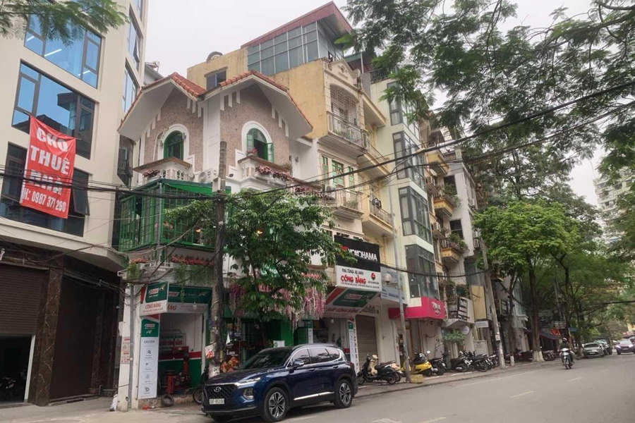 Bán nhà ở diện tích chuẩn 62m2 bán ngay với giá thực tế 14.9 tỷ vị trí mặt tiền tọa lạc ngay Trần Quý Kiên, Hà Nội-01