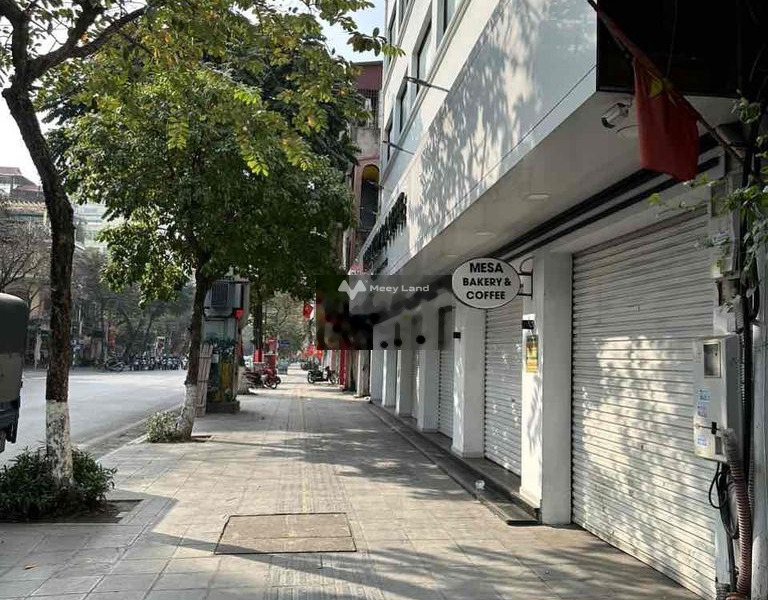 Nhà 5 phòng ngủ bán nhà bán ngay với giá thương mại 15.9 tỷ diện tích khoảng 175m2 vị trí đẹp nằm tại Trương Định, Hà Nội-01
