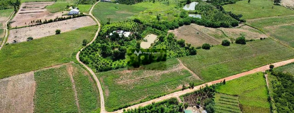 Khoảng từ 215 triệu bán đất diện tích rộng rãi 593m2 vị trí đặt nằm trên Xuân Phú, Đắk Lắk, hướng Tây Nam-03