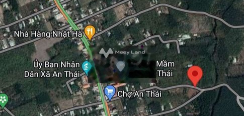 An Thái, Phú Giáo bán đất giá đàm phán 500 triệu diện tích rộng 215m2-03