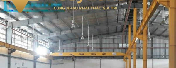 Cần bán kho bãi đường An Phước, tỉnh Đồng Nai. Diện tích 6000m2, giá 36 tỷ-03