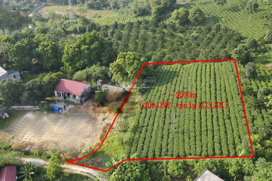 Giá siêu khủng 2 tỷ bán đất diện tích chuẩn 2000m2 Bên trong Lương Sơn, Hòa Bình-01