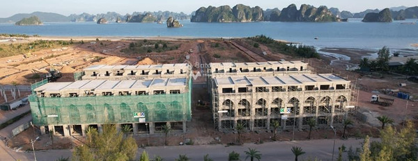 Bán biệt thự diện tích thực là 220m2 Phía trong Vân Đồn, Quảng Ninh tiện ích bao phê-02