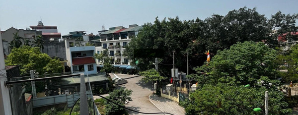 Chính chủ bán nhà biệt thự 100m2 tại Ngọc Thuỵ, Long Biên -03
