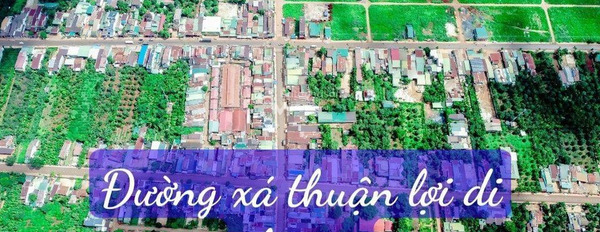 Phú Lộc, Krông Năng 550 triệu bán đất diện tích rộng lớn 132m2-02