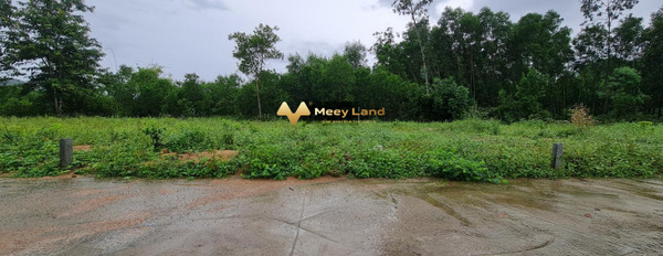Xã Duy Trung, Tỉnh Quảng Nam 290 triệu bán đất có dt tổng 100 m2-03