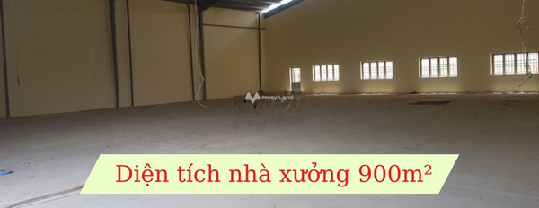 Gò Công, Tiền Giang bán đất giá bán siêu rẻ chỉ 9 tỷ diện tích chuẩn là 1889m2-03