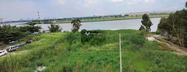 Thuê ngay với giá gốc 20 triệu/tháng cho thuê đất với diện tích là 2650m2 tọa lạc gần Vườn Lài, An Phú Đông-02