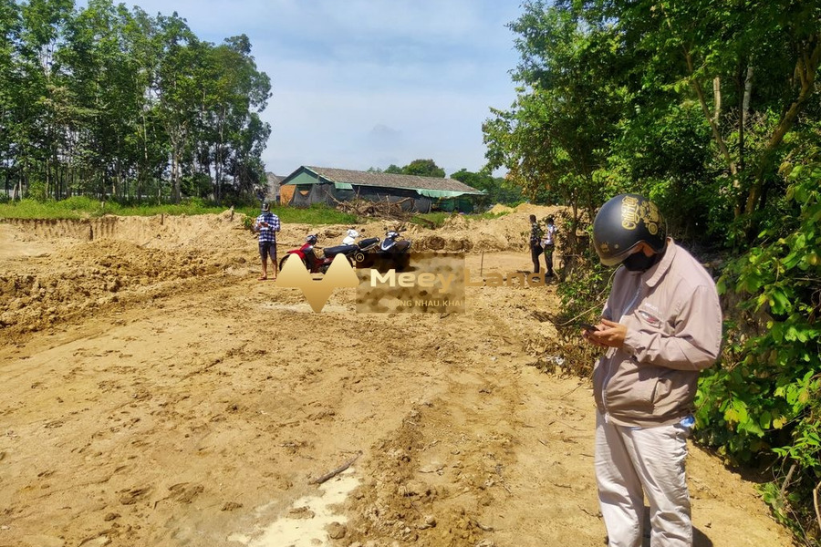 Bán đất tại Nguyễn Văn Linh, Thủ Dầu Một, Bình Dương. Diện tích 350m2, giá 1,39 tỷ-01
