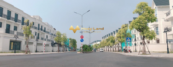 Cho thuê nhà ở diện tích 90m2 giá thuê 35 triệu/tháng tại Trâu Quỳ, Hà Nội-03