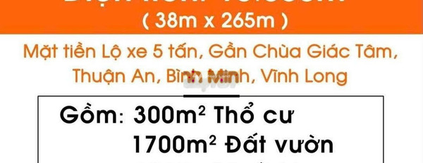 Tôi đang cần gấp cho thuê đất 10000m2 giá thuê công khai 5 triệu/tháng vị trí đặt ngay tại Mỹ Hòa, Bình Minh liên hệ liền-03