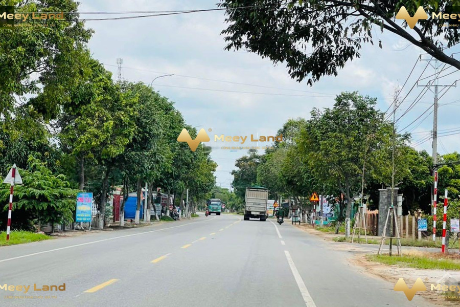 Bán đất tại Xã Bông Trang, Huyện Xuyên Mộc, 2,2 tỷ, diện tích 239m2-01