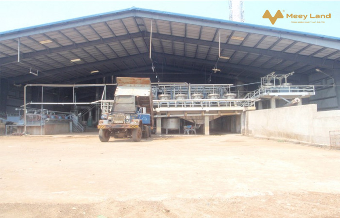 Bán nhà máy sản xuất tinh bột mì Lộc Phú– Lộc Ninh – Bình Phước, 34ha, giá bán 125 tỷ-01