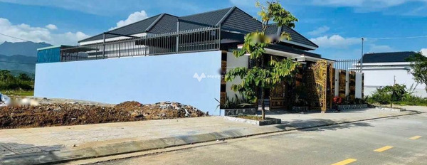 Hòa Hiệp Nam, Đà Nẵng 3.95 tỷ bán đất có diện tích tổng là 300m2-03