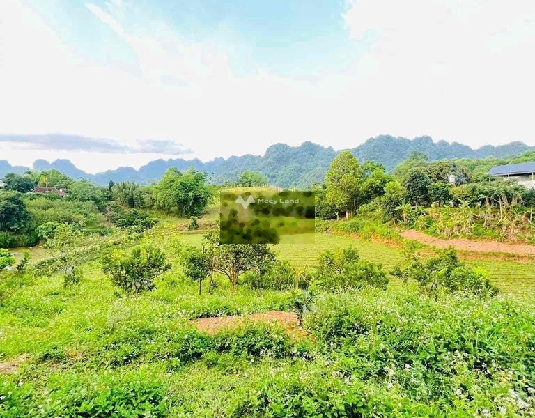 Ngay Nguyễn Lương Bằng, Hòa Hiệp Nam bán đất 350 triệu Diện tích nền 17000m2-01