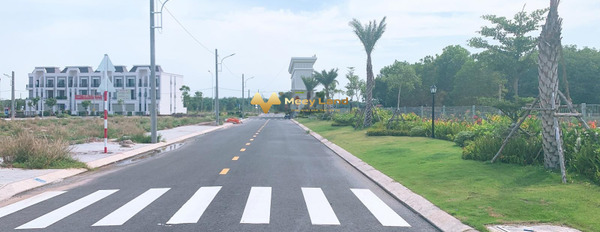 Bán đất diện tích 75m2 tại huyện Bàu Bàng, Bình Dương-03