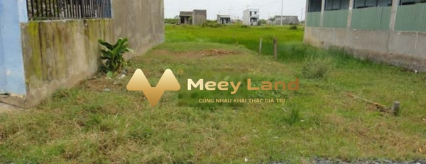 Bán đất tại Tân An Hội, Hồ Chí Minh, 100m2-03