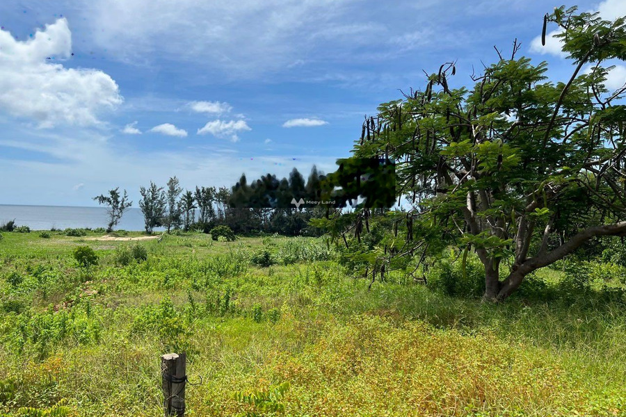 Lạc Long Quân, Phan Thiết 132 tỷ bán đất, hướng Tây - Bắc diện tích như sau 6000m2-01