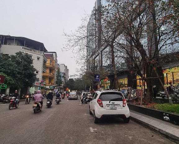 Bán nhà riêng quận Đống Đa thành phố Hà Nội, giá 22 tỷ
