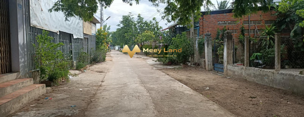Bán đất tại Nguyễn Thị Minh Khai, Phước Dân, diện tích 264m2 giá 980 triệu-02