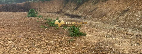 Bán đất vị trí mặt tiền tại Phú Sơn, Hà Nội. Diện tích 1554m2, giá 3,11 tỷ-02