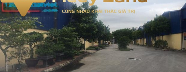 Cho thuê mặt bằng làm kho, xưởng, nhà máy sản xuất tại Văn Lâm, Hưng Yên-03