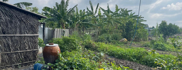 Nhà vườn nghỉ dưỡng và đầu tư 800m2 SHR tại huyện Cần Giuộc khu dân cư đông đúc thích hợp kinh doanh-02