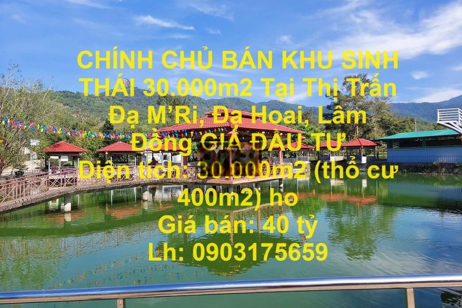 BÁN KHU SINH THÁI 30.000m2 Thị Trấn Đạ MRi,Đạ Hoai,Lâm Đồng GIÁ ĐẦU TƯ -01